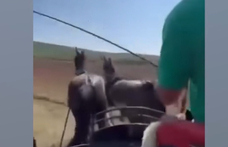 Felfüggesztették a magyar fogathajtó világbajnok versenyengedélyét egy róla készült videó miatt
