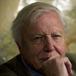 David Attenborough, Terence Hill magyar hangját díjazták