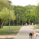 Építési tilalmat rendelhetnek el a Hajógyári-szigeten
