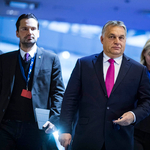 A román Nemzeti Liberális Párt szerint is mennie kell a Fidesznek