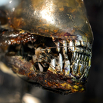 Az Alien második része is visszatér a magyar mozikba