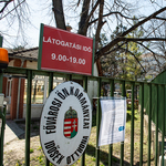 Az idősotthonok igényfelmérő kérdőívet kaptak, amikor maszkokat még nem