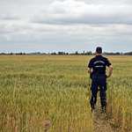 1280 illegális bevándorlót kaptak el a szerb határnál