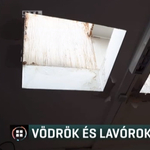 Vödrökbe fogják fel a tetőn becsurgó vizet az egyik pécsi iskolában