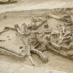 1700 éves luxus-utazókocsi maradványait tárták fel Aquincumban – fotó