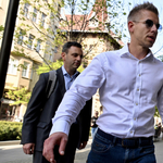 Sükösd Miklós: A Magyar Péter-sztori, avagy lehetséges-e a hiteles politikai átváltozás? Történelmi példatár