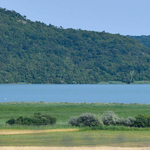 Évtizedek után felmelegített fejlesztési tervektől féltik a Balaton ökológiai ékszerdobozát