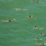 Balaton-átúszás: Mégis, mi kerül ezen ennyibe?