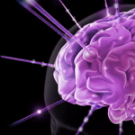 Az interneten keresztül programozhatják a Parkinson-kóros betegek agyát a pécsi orvosok