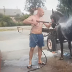 Autómosóban hűsítettek egy lovat Romániában – videó