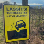 Ön örökbe fogadna egy kátyús utat?