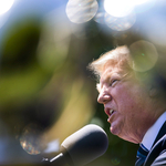 Trump már megint beszólt a német autók ellen