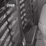 Videó: több kamera is felvette, ahogy kirámolnak egy grillcsirkést