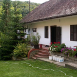 Péterfy Gergely: Kelták