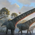 15 méteres nyaka volt egy most azonosított dinoszaurusznak – hatszor hosszabb, mint egy zsiráfé