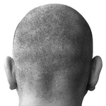 Seres: Abszurdisztán skinheadjei