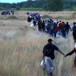 Több száz embert vesz fel a bevándorlási hivatal a migránsok miatt