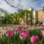 Még mindig vizsgálják a pécsi egyetemen, hogy varázsolt-e Schadl György vizsgát bárkinek
