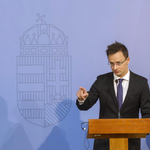 A kis copf és konty már a múlté, a legújabb trend a férfi hajfonat!