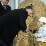 Nem engedték be az RTL-t Orbán malacátadására