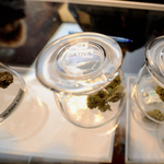 Tanulmány: a kannabisz ugyanolyan függővé tesz, mint az alkohol