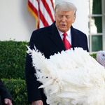 Donald Trump utoljára kegyelmezett meg két pulykának