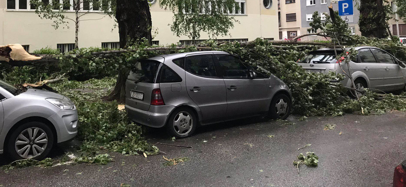 Szélvihar söpört végig Horvátországon, kétszáz ember megsérült