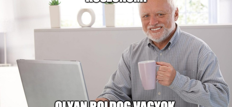 Hide the pain Harold: Nagyon kellemeset csalódtam a sokat szidott egészségügyben