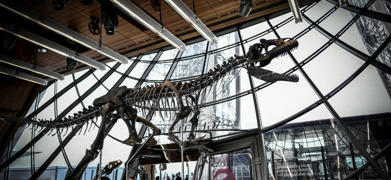 Dinoszaurusztól az eredeti Micimackó-térképig: ezekért fizettek milliókat az idén