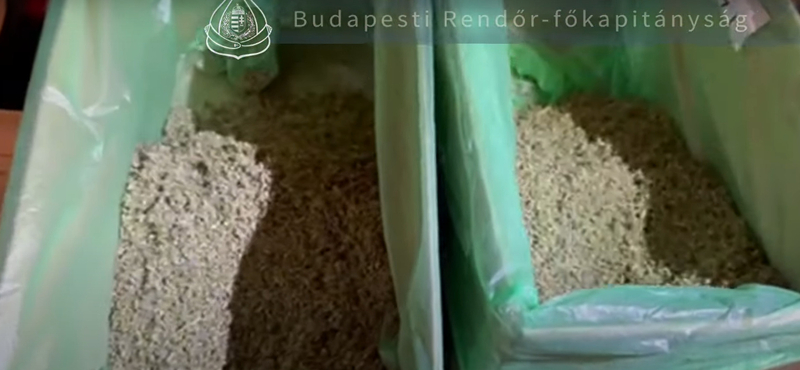 Videó: Egy posta előtt fogták el a drogdílert, aki csomagküldő bizniszt üzemeltetett