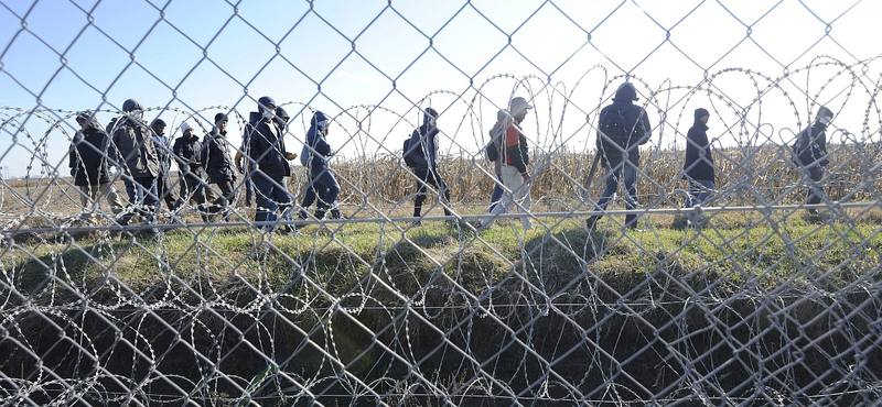 Kiadós sorosozással reagáltak arra Pintérék, hogy magyar rendőrök migránsokat vernek