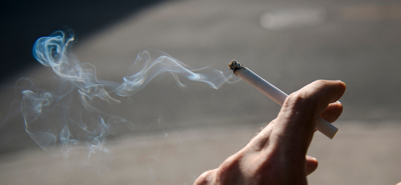 Régiós viszonylatban is kiemelkedő, elképesztően profi illegális cigigyárra csapott le a NAV