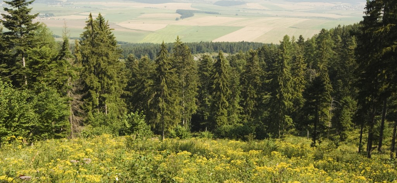 A hegyimentőknek kellett kiszabadítaniuk két eltévedt magyar nőt egy szlovák nemzeti parkból