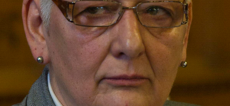 Elfogadták Németh Lászlóné egy javaslatát