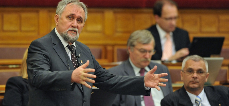 Ángyán szembeszavazott a fideszesekkel