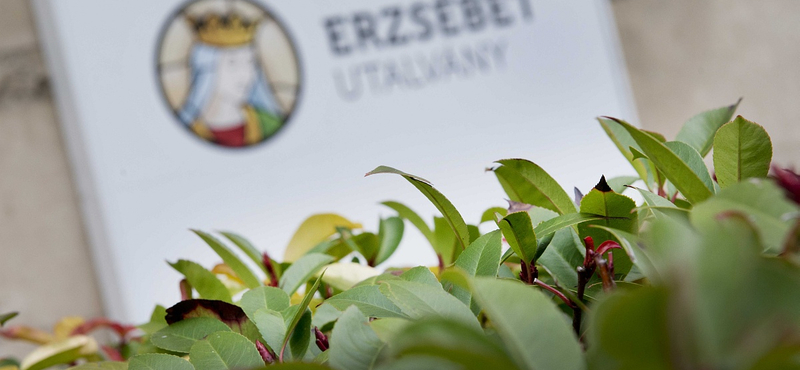 Nyilvánosságra kell hozni, mennyiért hirdették az Erzsébet-utalványt a Habony-lapokban