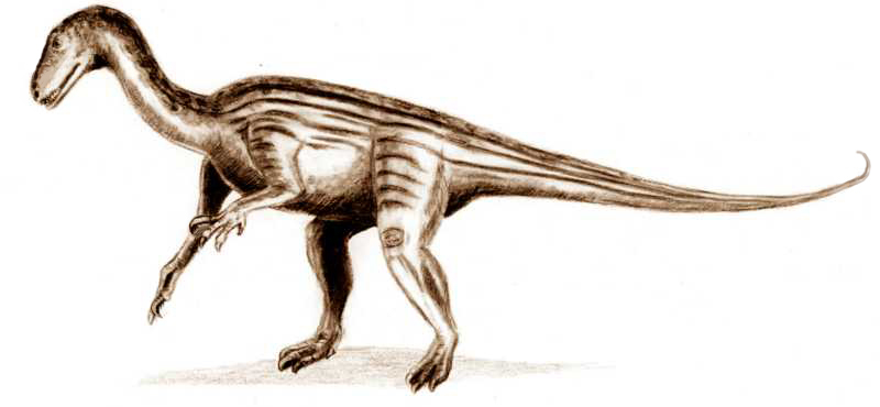 205 millió évvel ezelőtt élt dinoszaurusz agyát rekonstruálták a tudósok