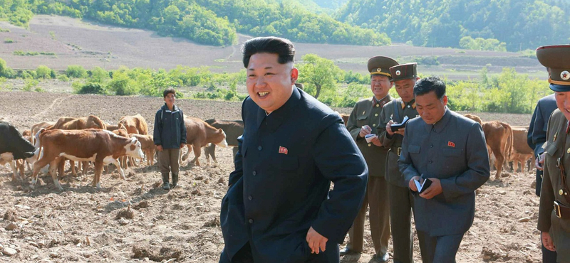 Állítólag megmérgeztette saját nagynénjét Észak-Korea diktátora