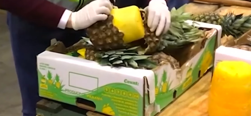 Ananászba rejtve csempészték a több száz kiló kokaint – videó