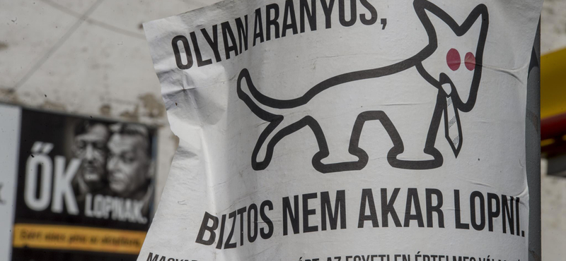 8 millió állami pénz jutott a Savköpő Menyét Alapítványnak