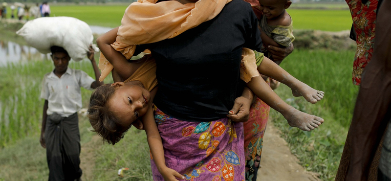 Már a 500 ezren is túl az elüldözött rohingyák száma