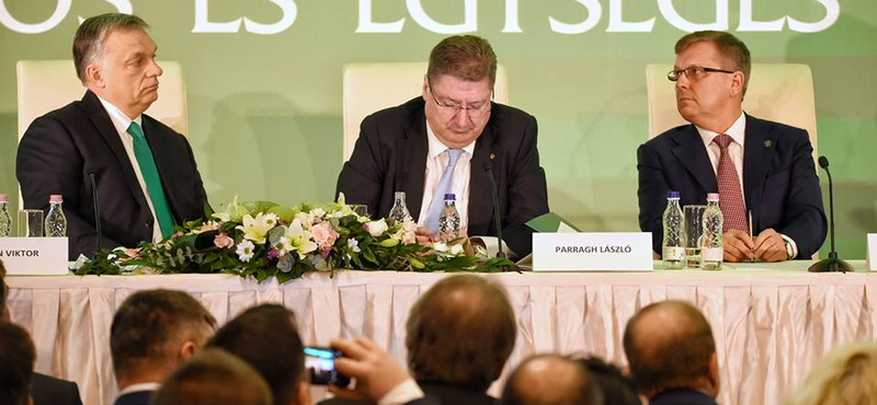 "Merő sületlenség": szétkapta az adószakértő Matolcsyék kisvállalati programját