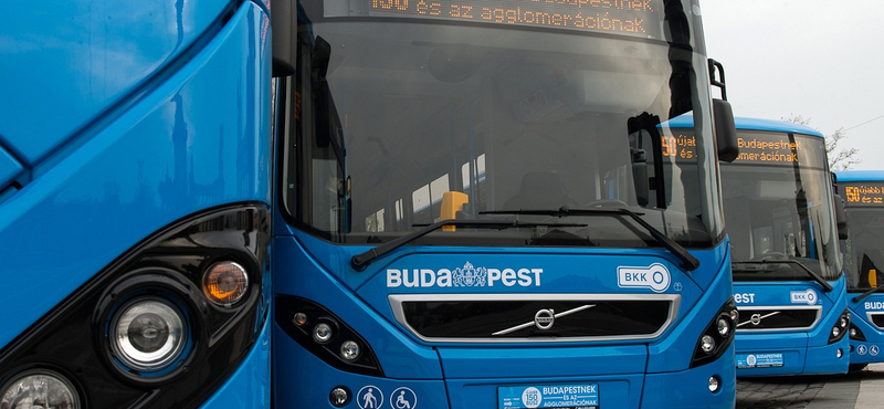 Fotó: vadiúj buszokkal járhatunk szombattól