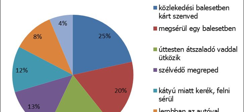 Baleset, kátyú és a vadak az autósok félelmei