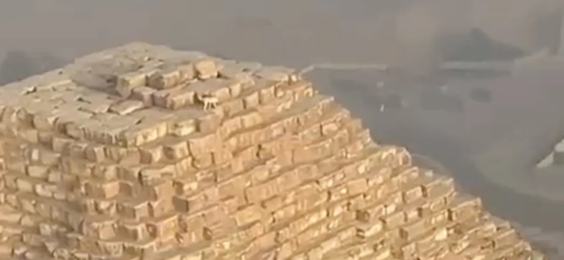 Siklórepülős vette videóra, ahogy az egyik gízai piramis tetején kószál egy kutya