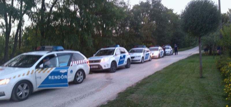 10 rendőr vonult ki 12 kutyapártos aktivistára Felcsúton