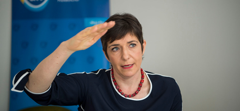 Gyurcsány fia megkapta a családi cégek vezetését