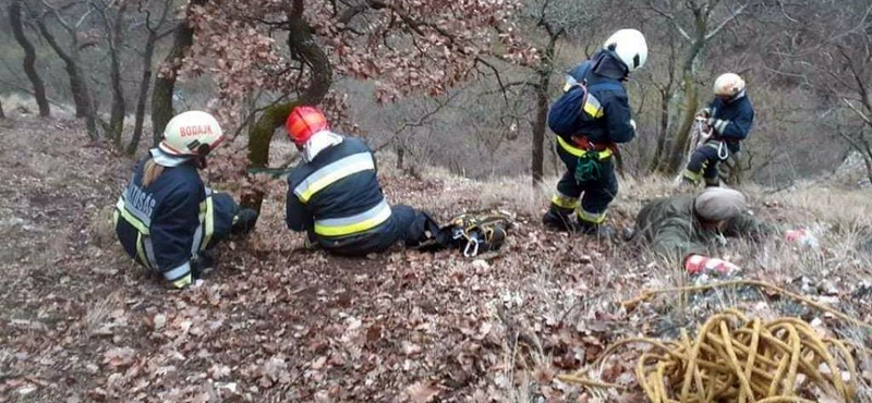 A Gaja-völgyi sziklafalon ragadt egy férfi, a tűzoltók hozták le