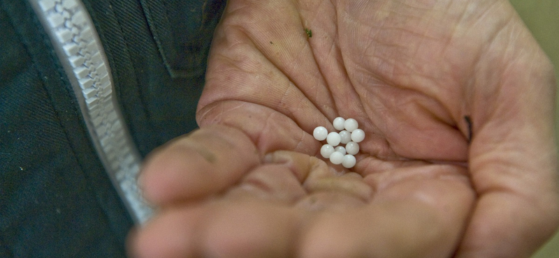 Európa megindul a homeopátia ellen?