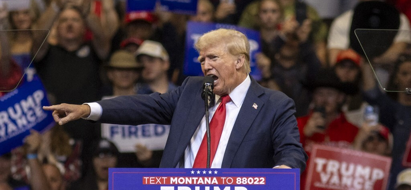 Alákérdezés, jópofizás – Elon Musk Donald Trumppal beszélgetett